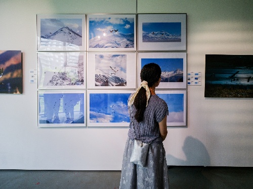 “天上西藏·鹤鹤有鸣”黑颈鹤主题摄影作品全国巡展在成都启幕
