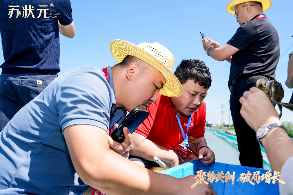 聚势共创 破局增长——苏状元2026城市合伙人盛典第二期在江苏盐城举行