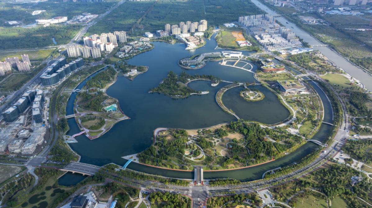 立足星“城”大海发展图景，上海市奉贤区金海街道深耕细作勾勒新城的温度与梦想