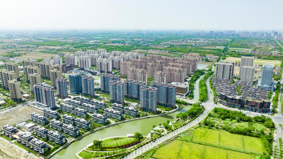 稳筑根基，一路向前——上海市奉贤区柘林镇“十五五”开局观察