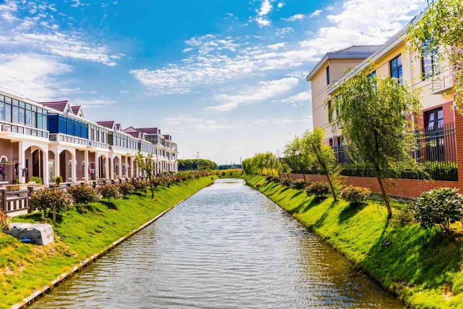 稳筑根基，一路向前——上海市奉贤区柘林镇“十五五”开局观察