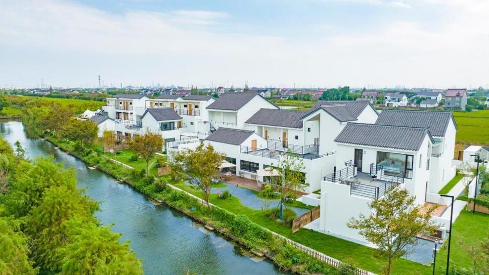稳筑根基，一路向前——上海市奉贤区柘林镇“十五五”开局观察