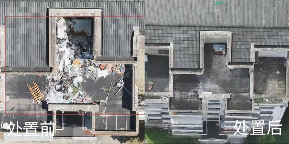 稳筑根基，一路向前——上海市奉贤区柘林镇“十五五”开局观察