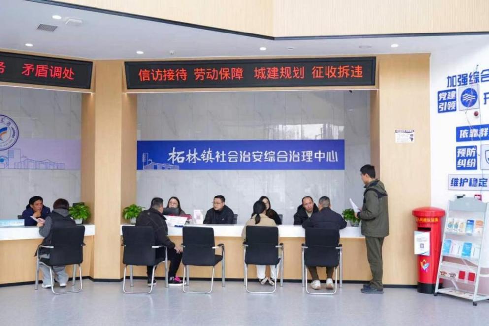 稳筑根基，一路向前——上海市奉贤区柘林镇“十五五”开局观察
