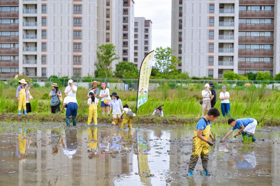 破茧·破局·破壁——一座年轻街道的新生密码