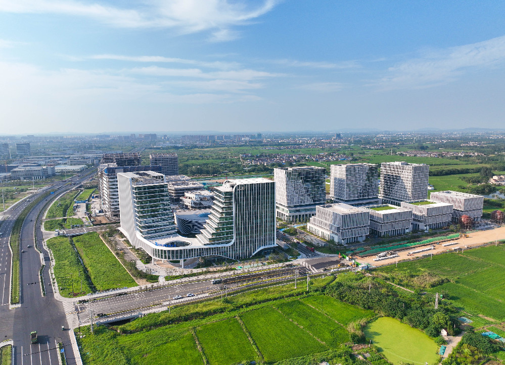 南京市六合区：优化服务，聚力提升S501沿线城乡环境品质