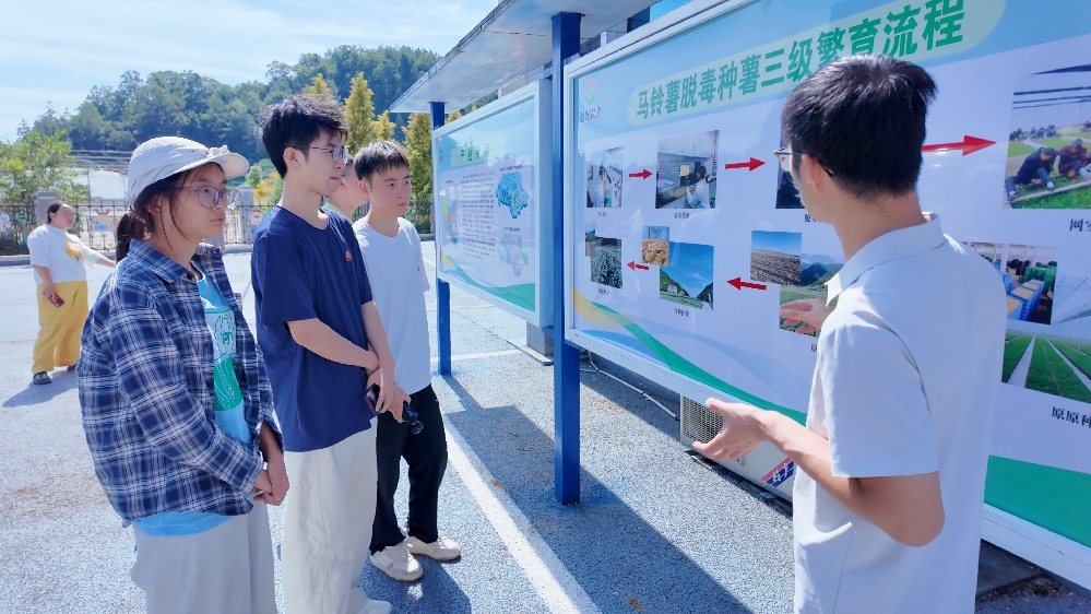 步行山水田园 读懂“和美乡村”——重庆巫溪县和美乡村建设的启示与回响