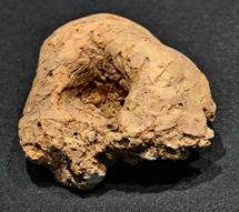 顾万发：红山文化城子山三孔兽面玉器星相学内涵新论