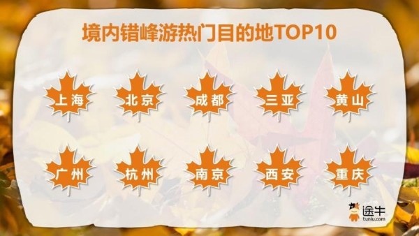 秋假研学热度攀升 西安跻身错峰游热门目的地
