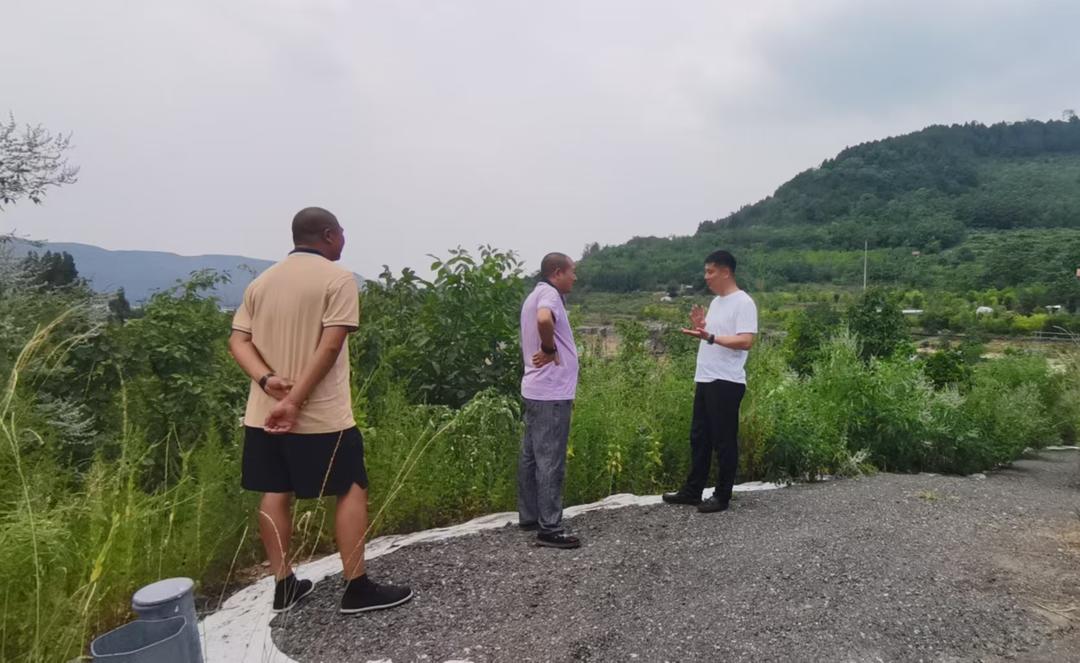 小工单承载大民生——坦埠镇以12345热线提质增效书写基层治理答卷