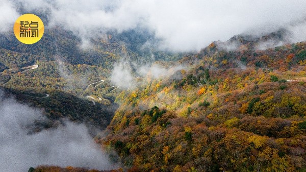 三秦秋实丨云海托日出,红叶尽染龙头山 三秦秋实丨云海托日出,红叶尽染龙头山