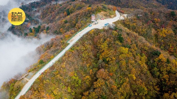 三秦秋实丨云海托日出,红叶尽染龙头山 三秦秋实丨云海托日出,红叶尽染龙头山
