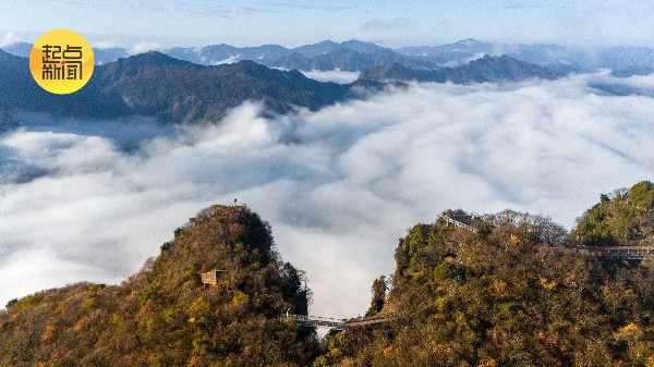 三秦秋实丨云海托日出,红叶尽染龙头山 三秦秋实丨云海托日出,红叶尽染龙头山