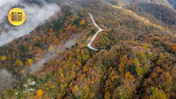三秦秋实丨云海托日出,红叶尽染龙头山 三秦秋实丨云海托日出,红叶尽染龙头山