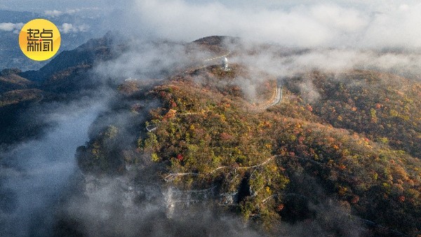 三秦秋实丨云海托日出,红叶尽染龙头山 三秦秋实丨云海托日出,红叶尽染龙头山