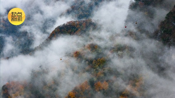 三秦秋实丨云海托日出,红叶尽染龙头山 三秦秋实丨云海托日出,红叶尽染龙头山