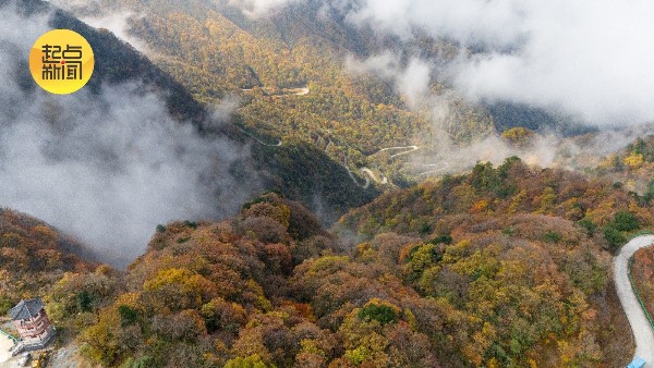 三秦秋实丨云海托日出,红叶尽染龙头山 三秦秋实丨云海托日出,红叶尽染龙头山