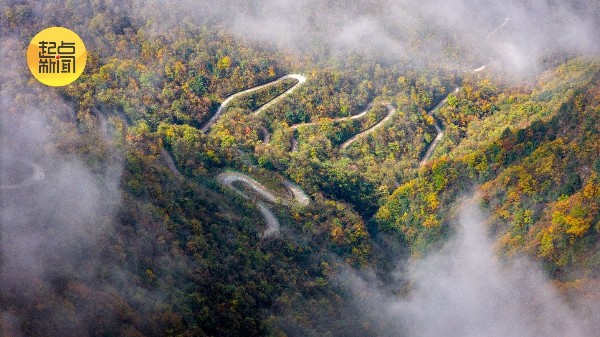 三秦秋实丨云海托日出,红叶尽染龙头山 三秦秋实丨云海托日出,红叶尽染龙头山