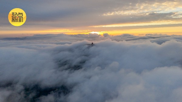 三秦秋实丨云海托日出,红叶尽染龙头山 三秦秋实丨云海托日出,红叶尽染龙头山
