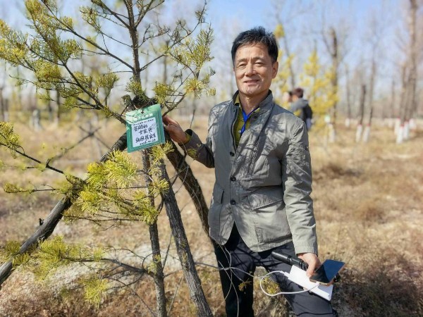 行走中国・寻踪塞上榆林|踏访毛乌素:多国嘉宾见证大漠变绿洲奇迹 行走中国・寻踪塞上榆林|踏访毛乌素:多国嘉宾见证大漠变绿洲奇迹