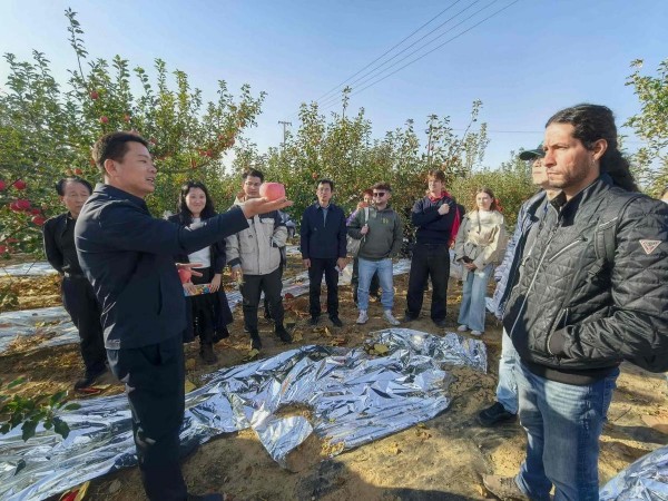 行走中国・寻踪塞上榆林|踏访毛乌素:多国嘉宾见证大漠变绿洲奇迹 行走中国・寻踪塞上榆林|踏访毛乌素:多国嘉宾见证大漠变绿洲奇迹