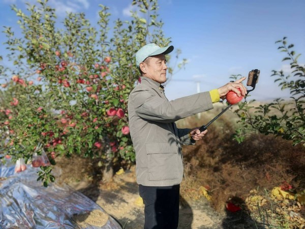 行走中国・寻踪塞上榆林|踏访毛乌素:多国嘉宾见证大漠变绿洲奇迹 行走中国・寻踪塞上榆林|踏访毛乌素:多国嘉宾见证大漠变绿洲奇迹