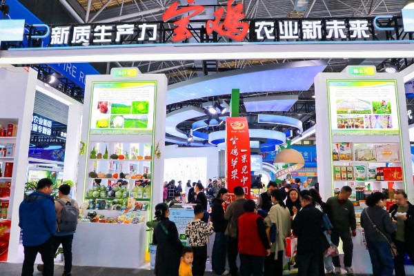宝农优品受热捧 杨凌农高会宝鸡展区人气旺