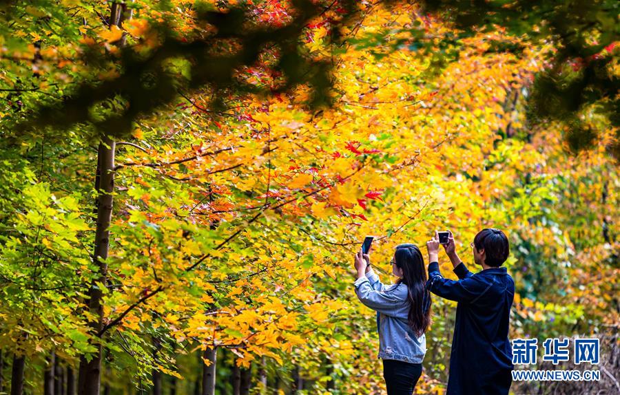 第四届中小学数字化教学研讨会在广州举办