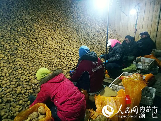 乌兰察布：发挥马铃薯品质优势 积极构建多元化发展格局