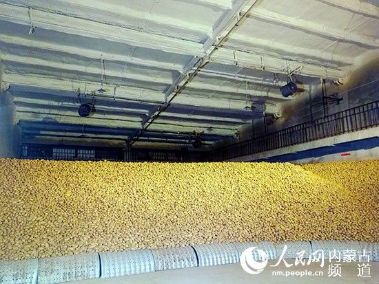乌兰察布：发挥马铃薯品质优势 积极构建多元化发展格局