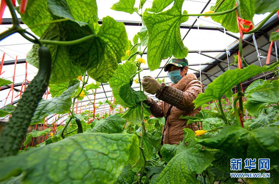 第六个国家扶贫日特别报道