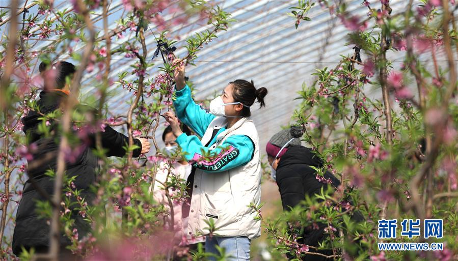 辽宁鞍山：推动招商引资实现新突破