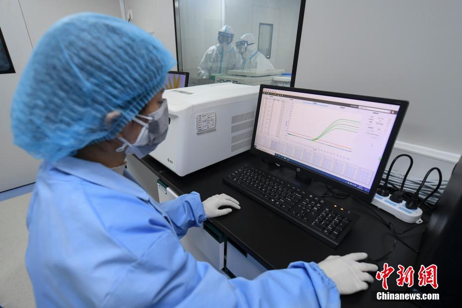 探访长沙第三方核酸检测机构 日测量最高达5000次