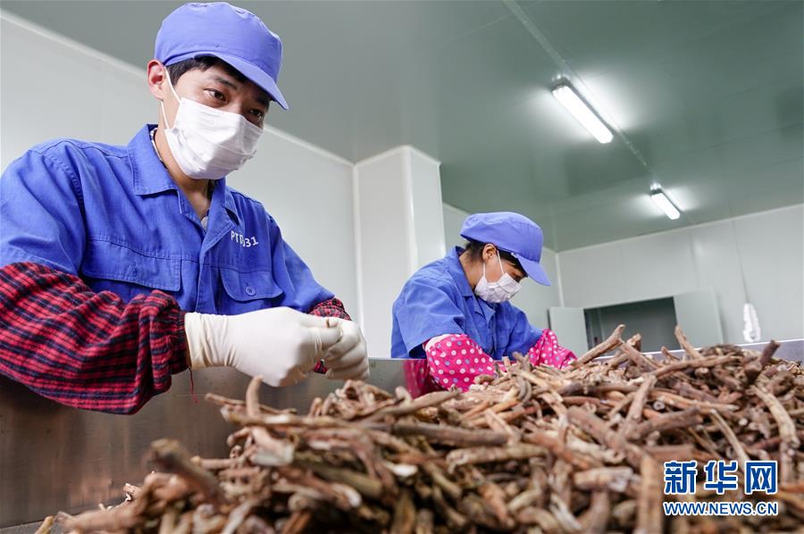 花儿为什么这样红——重庆垫江牡丹产业发展观察