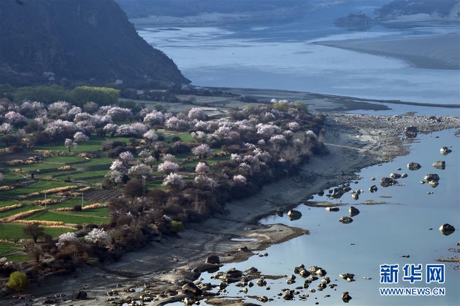（春季美丽生态）（1）春到雅鲁藏布江大峡谷
