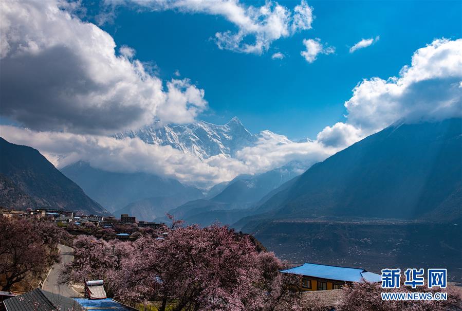 （春季美丽生态）（4）春到雅鲁藏布江大峡谷