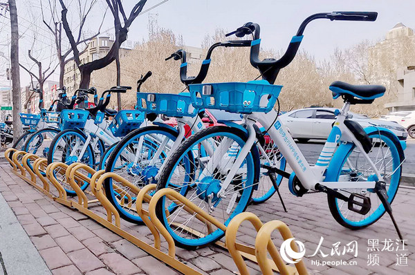 哈尔滨市将统一标准划共享单车专用泊位 提升城市环境秩序