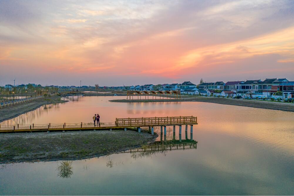 阳澄湖镇：废弃洼地变身湿地公园 探索生态、文化、产业融合发展之路