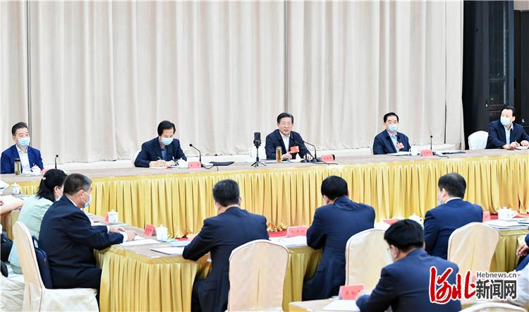 河北省代表团审议政府工作报告 审查计划报告和预算报告