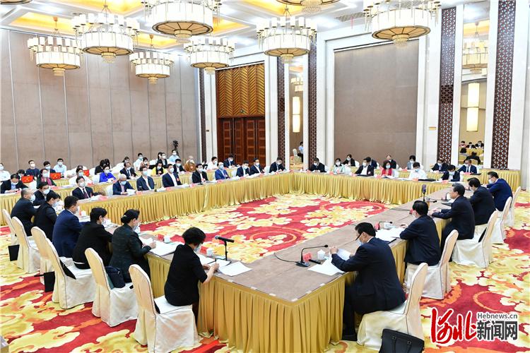 河北省代表团审议政府工作报告 审查计划报告和预算报告