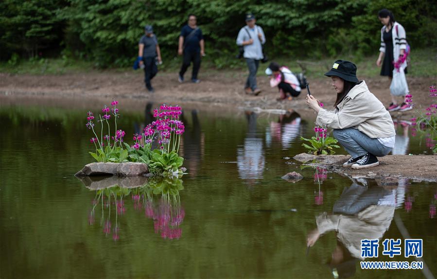 宁夏文艺评论创研基地在宁夏大学揭牌