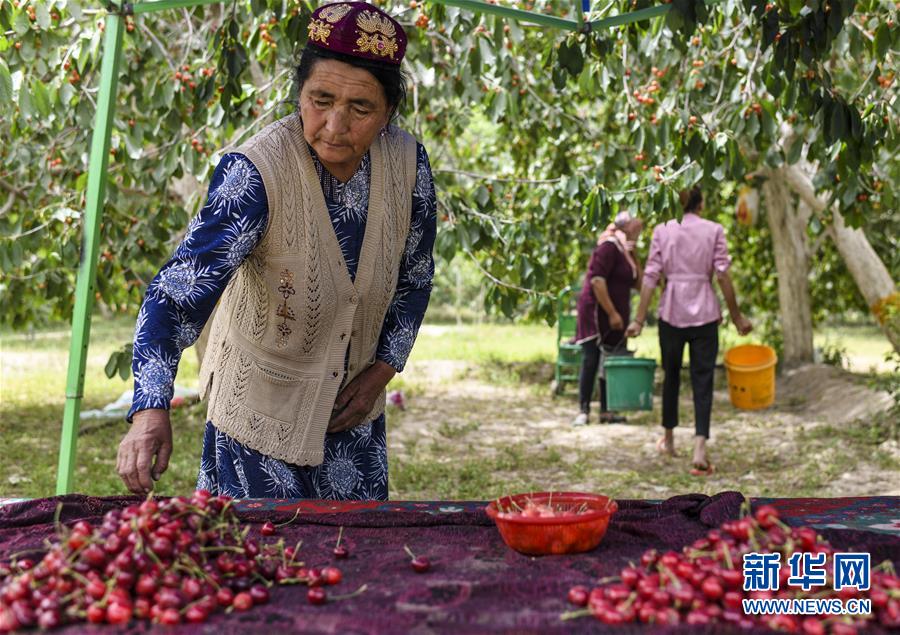 宁夏文艺评论创研基地在宁夏大学揭牌