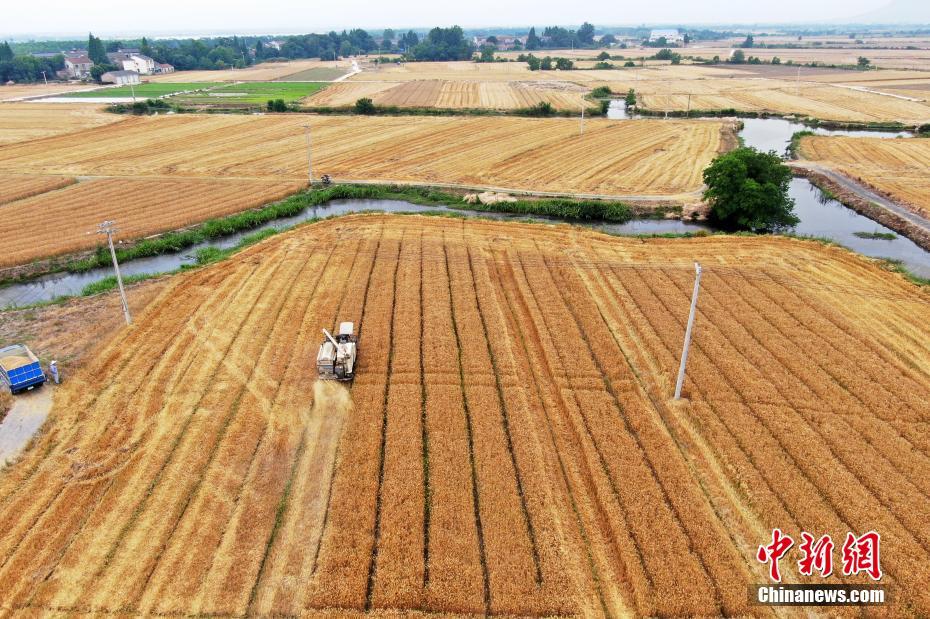 住渝全国政协委员共提交提案119件 立案112件股权激励方案