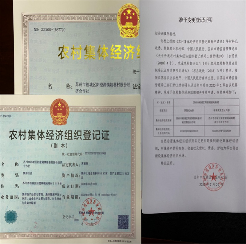 阳澄湖镇农村集体经济组织登记赋码工作