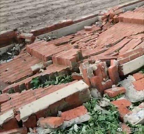 辽宁新民三个村镇遭强风袭击，大树折断学校围墙被吹倒