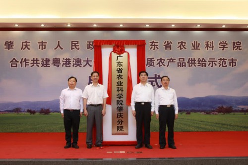 广东省农业科学院：创新“院地”合作模式 引领全省科技强农创新浪潮