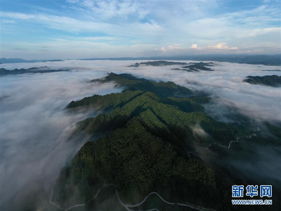 #（美丽中国）（4）湖北利川：云海似画卷