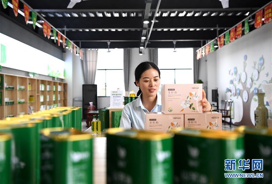 河南光山：油茶产业促民增收