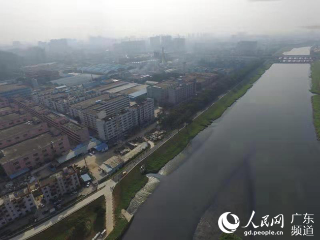 深圳补上生态欠账 茅洲河水清岸绿