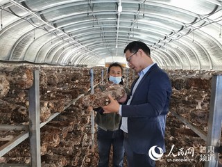 甘肃陇西：立足产业助脱贫 香菇采收“致富花”
